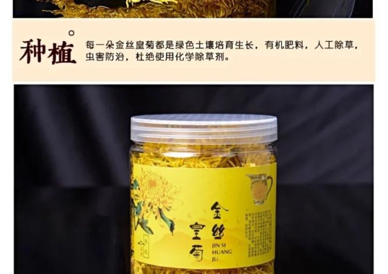 菊花茶金丝皇菊大菊花搭枸杞茶叶小罐30克包邮
