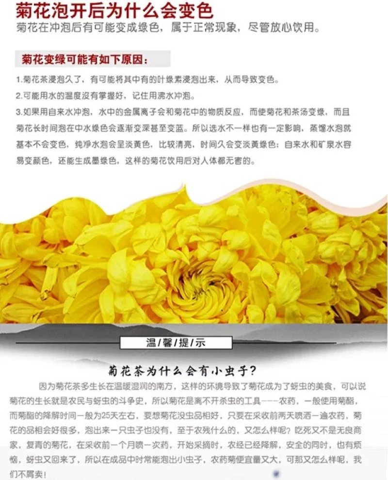 臻选高山菊花茶金丝皇菊大菊花茶30克一罐包邮