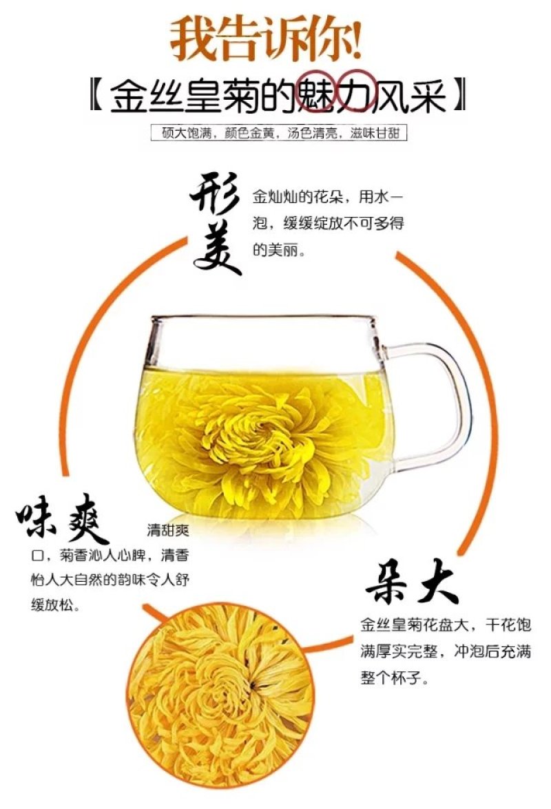 臻选高山菊花茶金丝皇菊大菊花茶30克一罐包邮