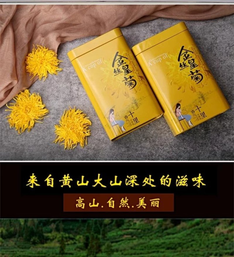 臻选高山菊花茶金丝皇菊大菊花茶30克一罐包邮