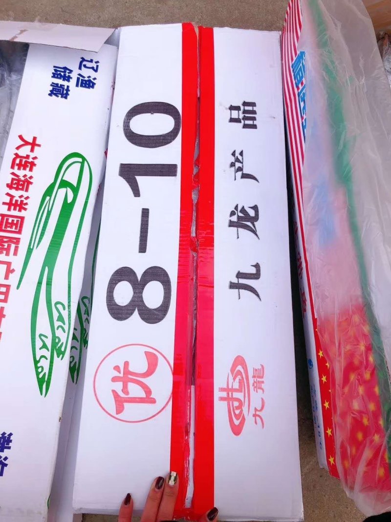 8-10带鱼，刀鱼质量很好，超低价
