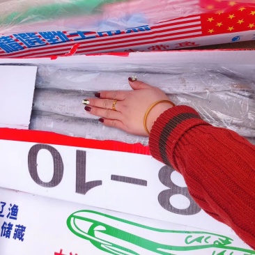 8-10带鱼，刀鱼质量很好，超低价