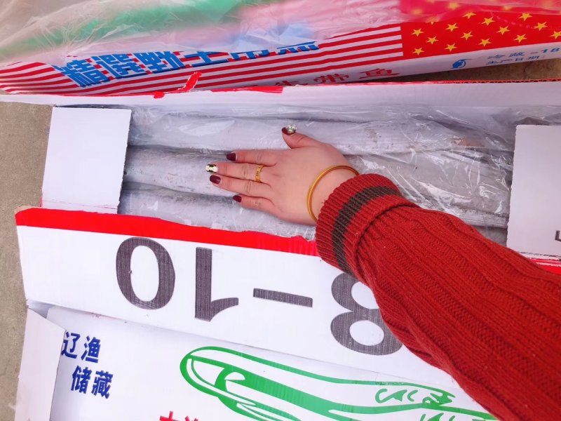 8-10带鱼，刀鱼质量很好，超低价