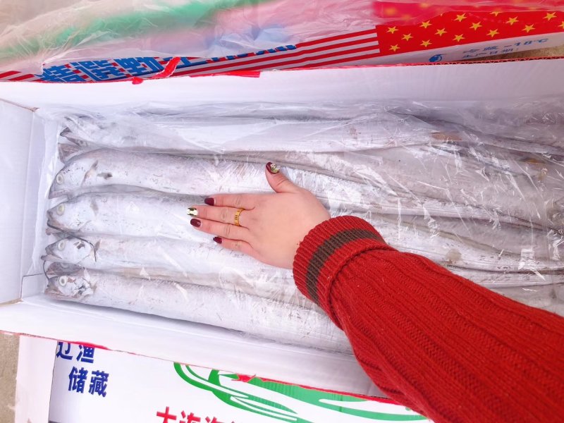 8-10带鱼，刀鱼质量很好，超低价