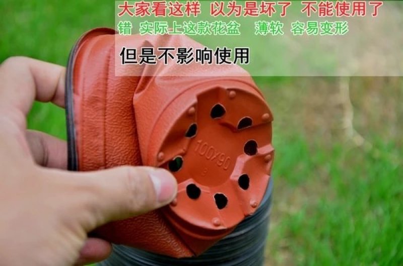花盆，双色简易花盆，育苗盆规格齐全厂家一手货源