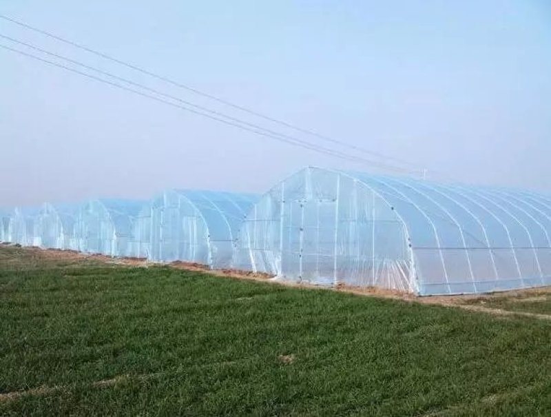 钢架大棚大棚骨架规格型号齐全厂家直销