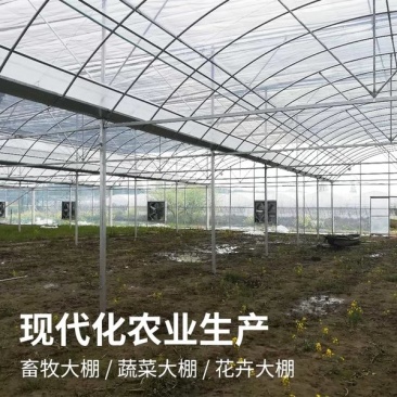 钢架大棚大棚骨架规格型号齐全厂家直销