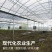 钢架大棚大棚骨架规格型号齐全厂家直销