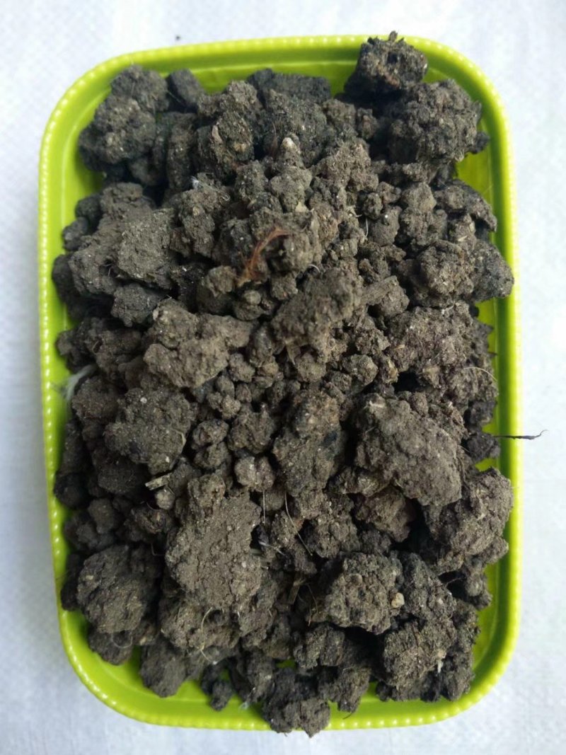 厂家批发晒干鸡粪，膨化颗粒鸡粪，不规则颗粒鸡粪，杂质少