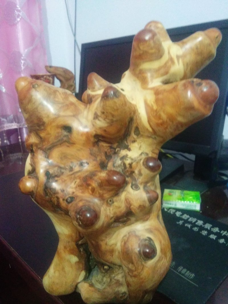 精品崖柏