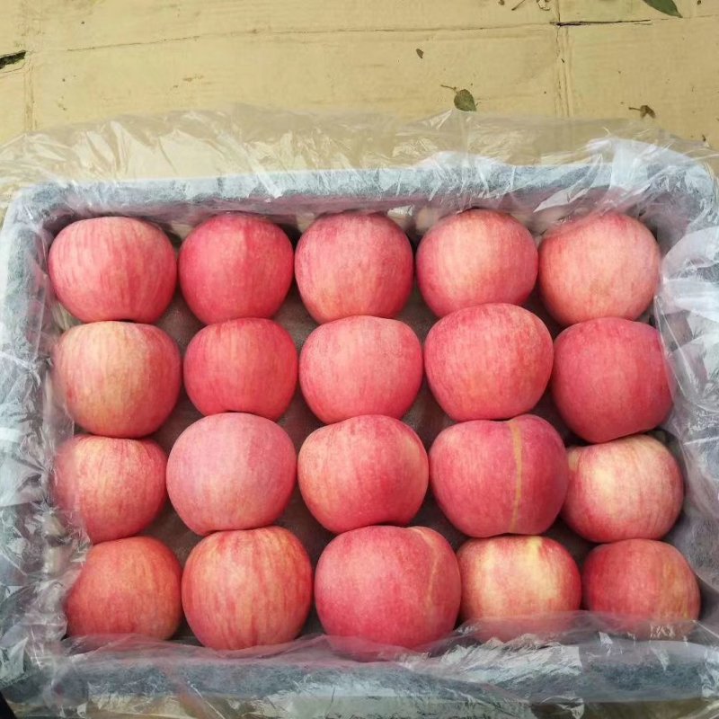 红富士苹果纸袋膜袋纸加膜常年供应产地直销颜色好