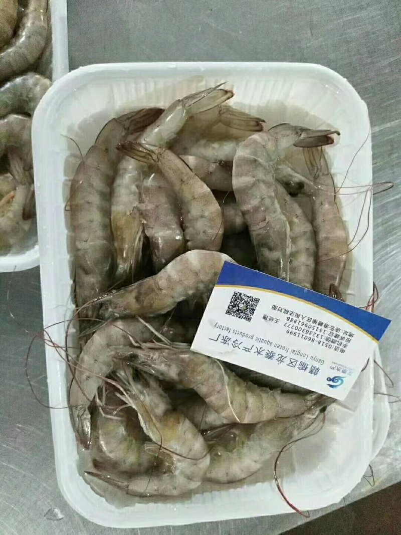 带鱼大小规格都有