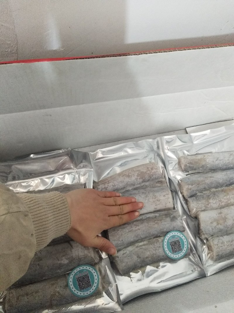带鱼大小规格都有