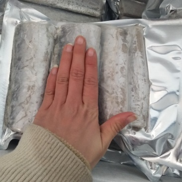 带鱼大小规格都有