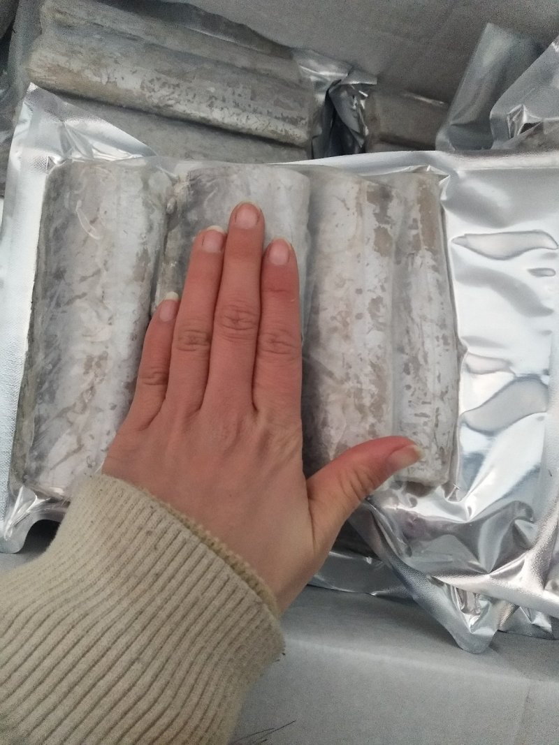 带鱼大小规格都有