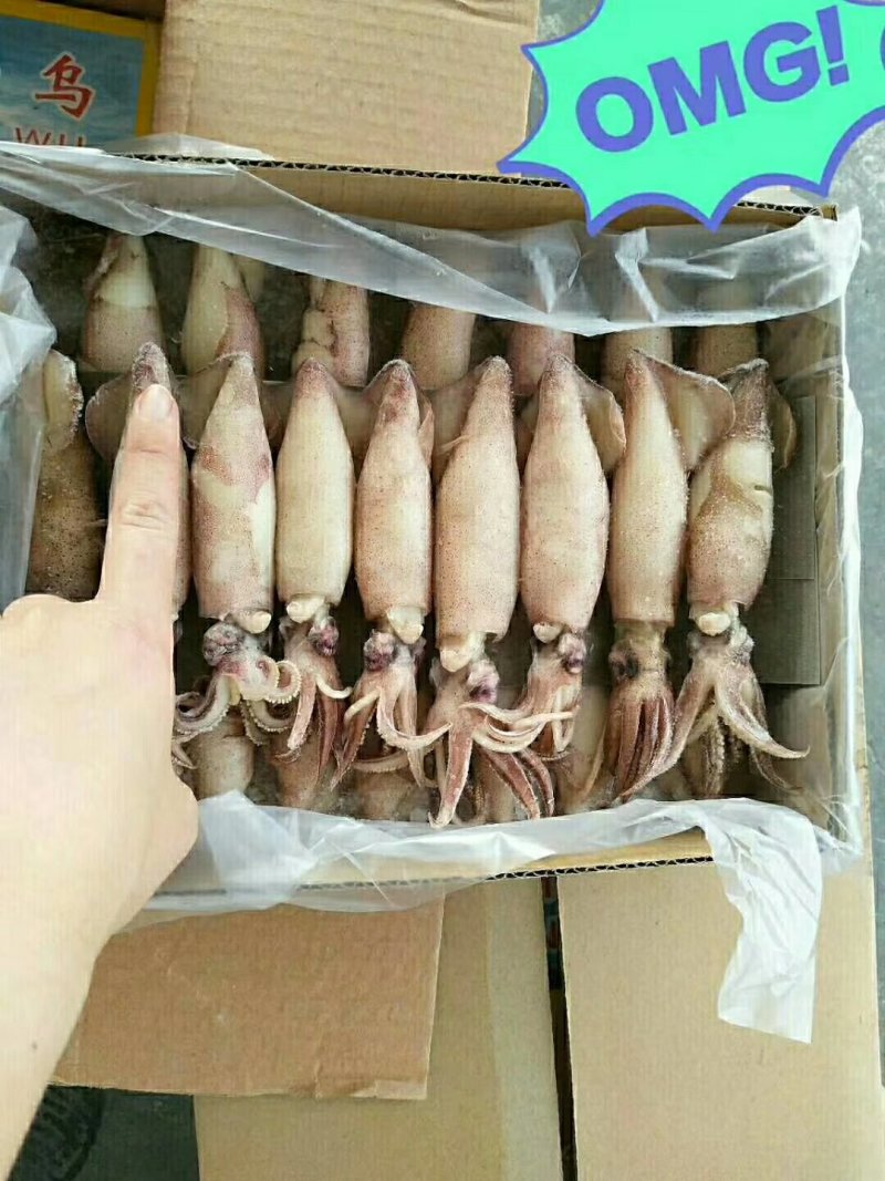 带鱼大小规格都有