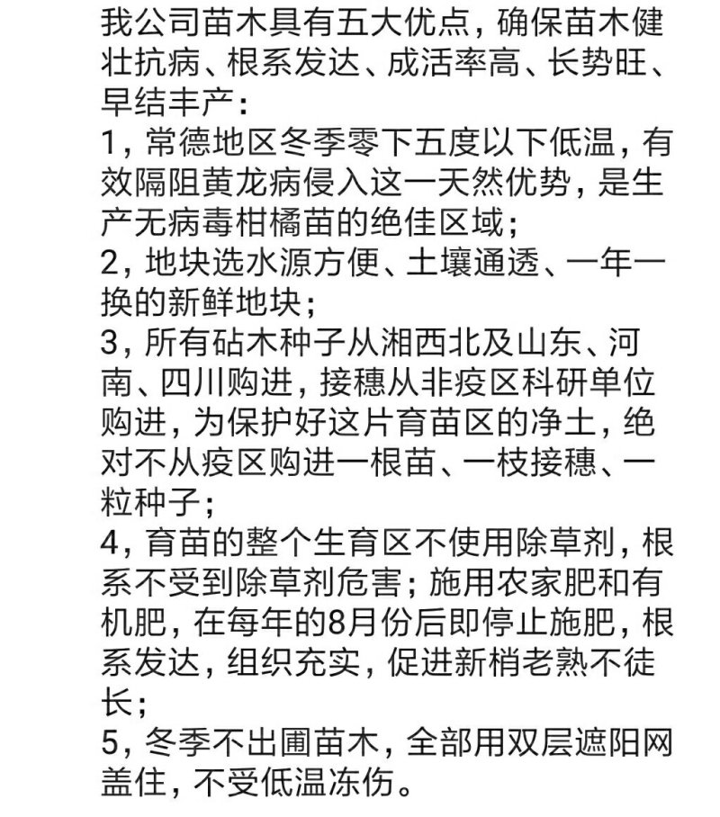 无核沃柑苗/树人农林基地直发/纯度和品质保证签订合同