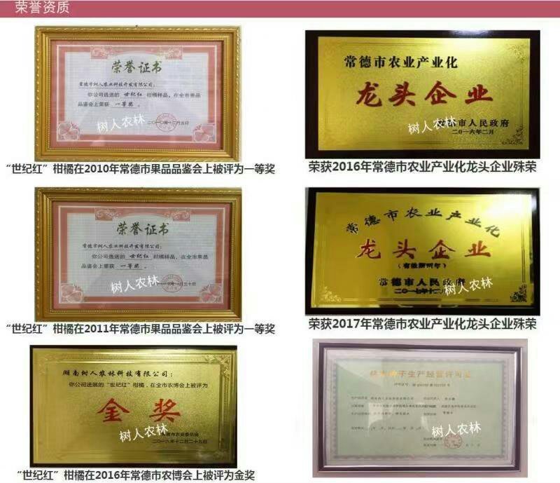 卡拉卡拉红肉脐橙/纯度品质保证，签订合同免费技术指导