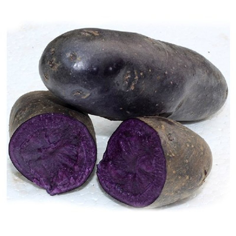 紫黑土豆黑土豆花青素含量高的黑土豆5斤装包邮