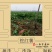 手工农家红薯粉条5斤细粉条火锅酸辣粉炒粉