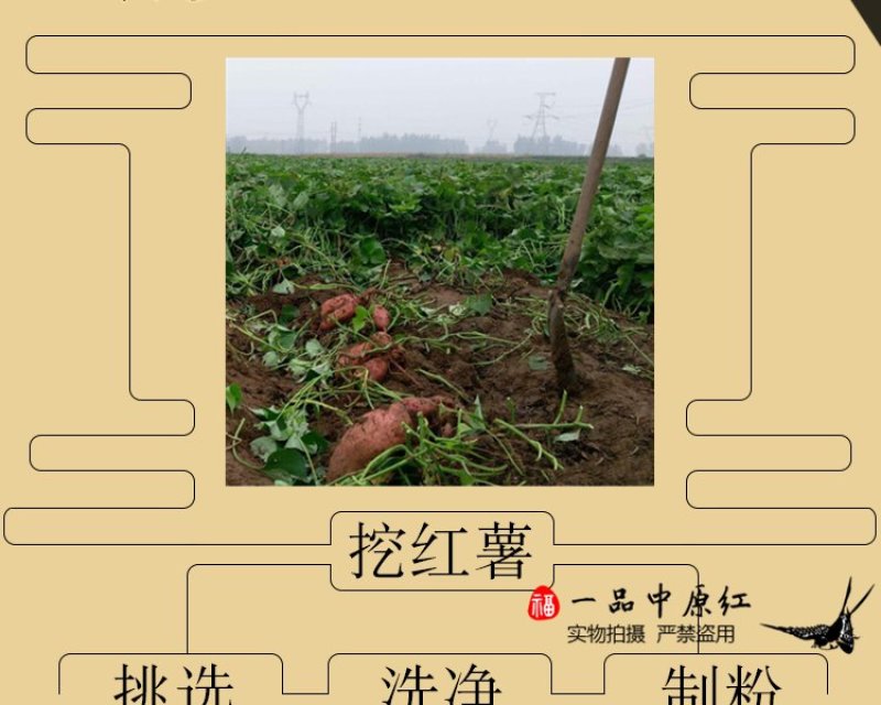 手工农家红薯粉条5斤细粉条火锅酸辣粉炒粉