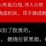 手工农家红薯粉条5斤细粉条火锅酸辣粉炒粉