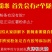 手工农家红薯粉条5斤细粉条火锅酸辣粉炒粉