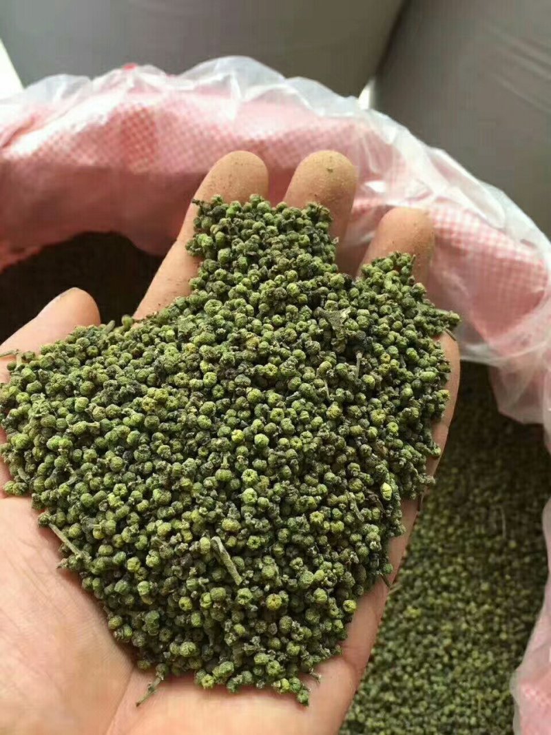 中花吴茱萸苗