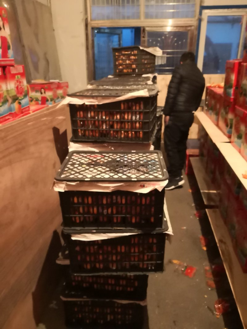 芦柑碰柑柑桔