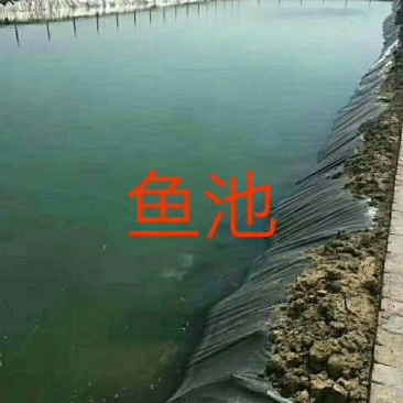 土工膜防渗膜，高密度聚乙烯土工膜，厂家直销，低价供应