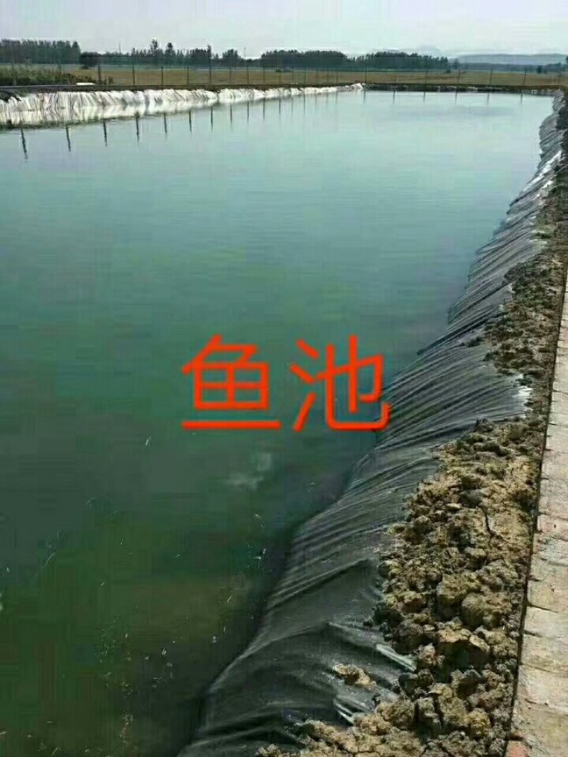 土工膜防渗膜，高密度聚乙烯土工膜，厂家直销，低价供应