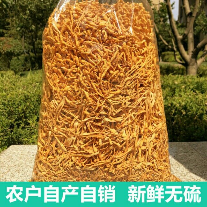 【散箱子大粗条】抖音，京东，天猫，菌汤煲，汤包料用