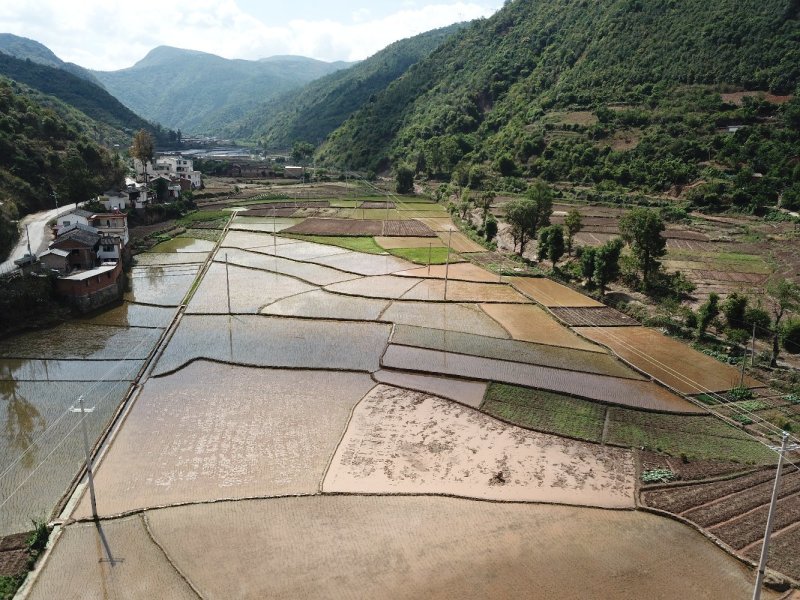 有好货：易门70亩水田低价出租，交通便利，水源保证