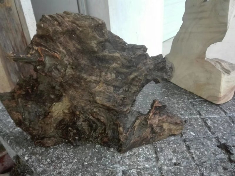 香樟木根，香樟木根切成片，置放客厅，房间，清香空气，