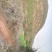 有好货：易门150亩红土地低价出租，高海拔可以种植药材