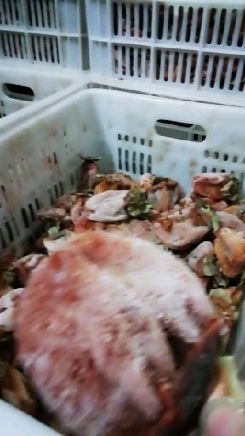 优质富平柿饼