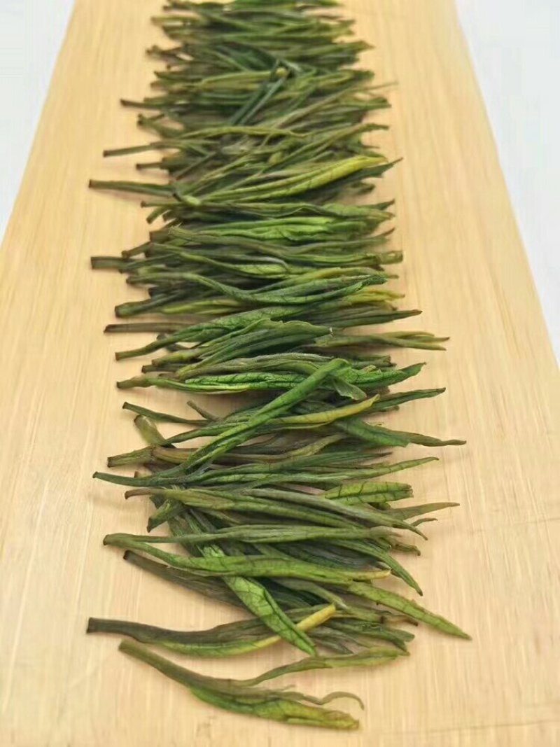 安吉白茶清香回甘雨前茶经济口粮茶