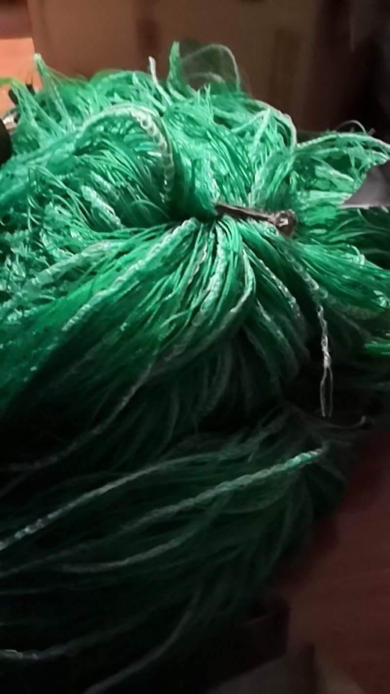 江苏宿迁沭菊花种植网爬藤网大量供应价格便宜欢迎咨询下单