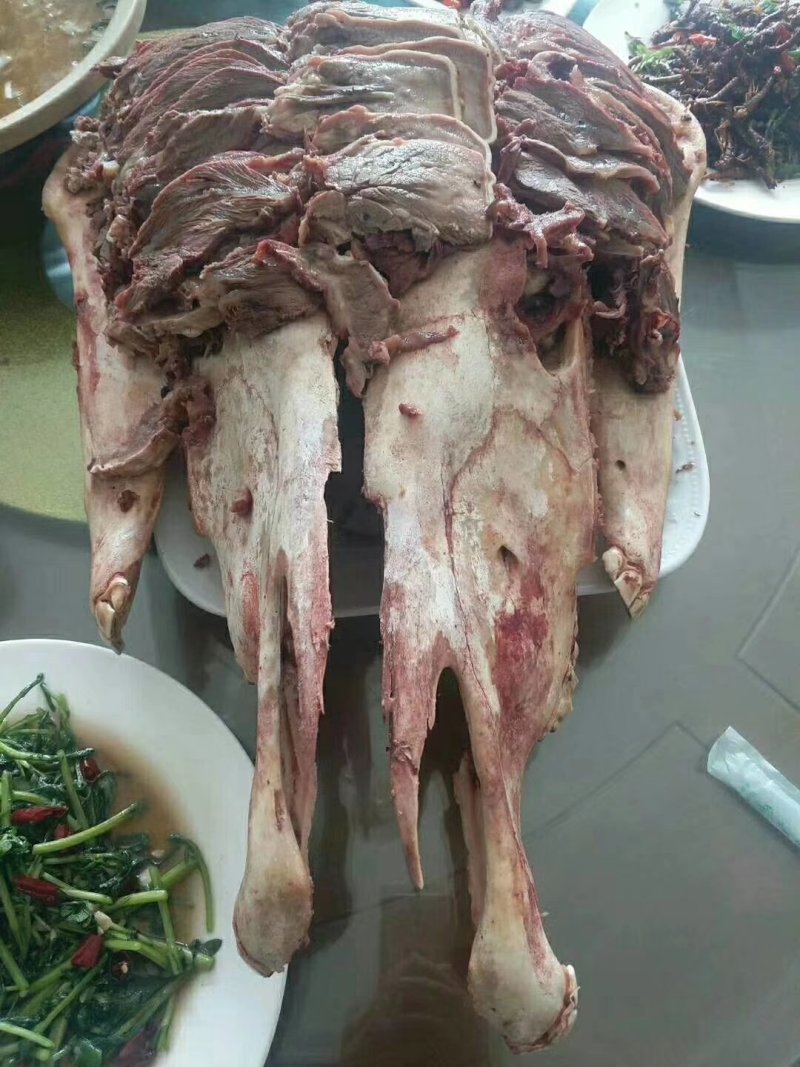 驴头
