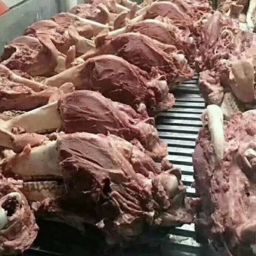 驴头