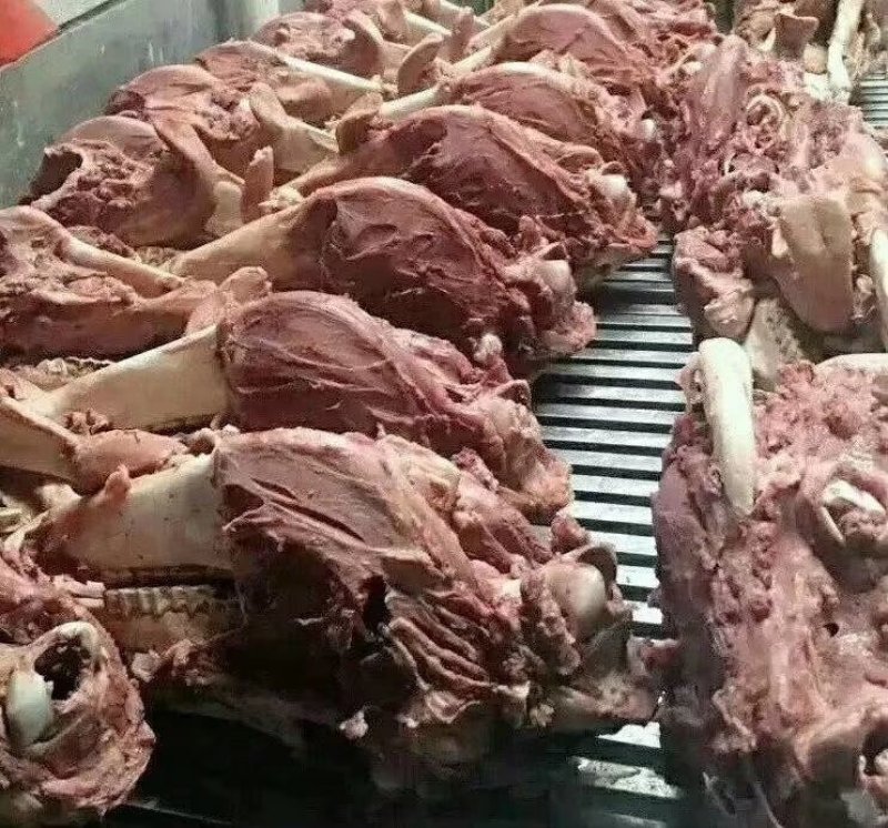 驴头