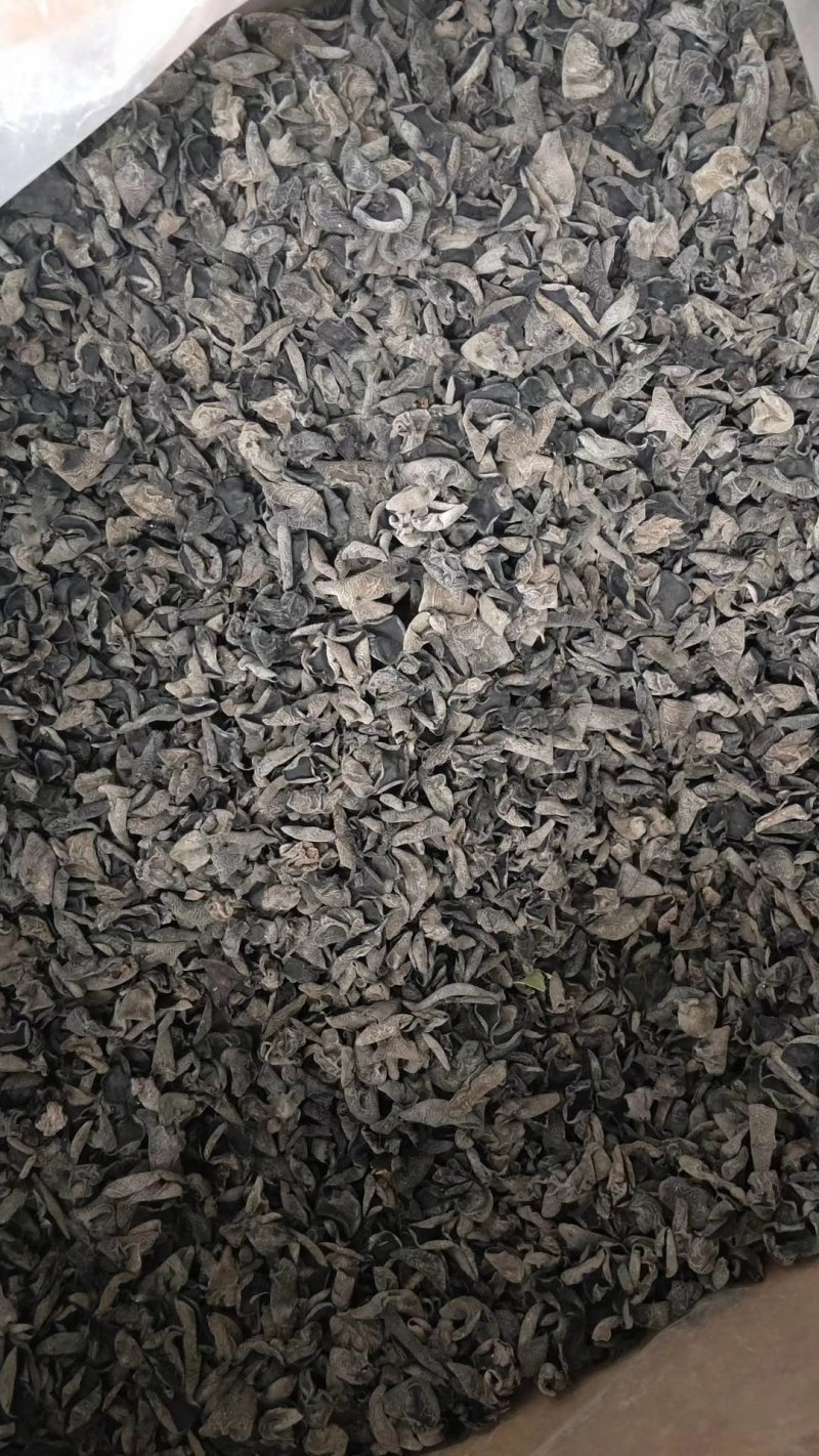 东北小木耳，一件60斤70斤，食用菌鲜货，东北黑木耳。