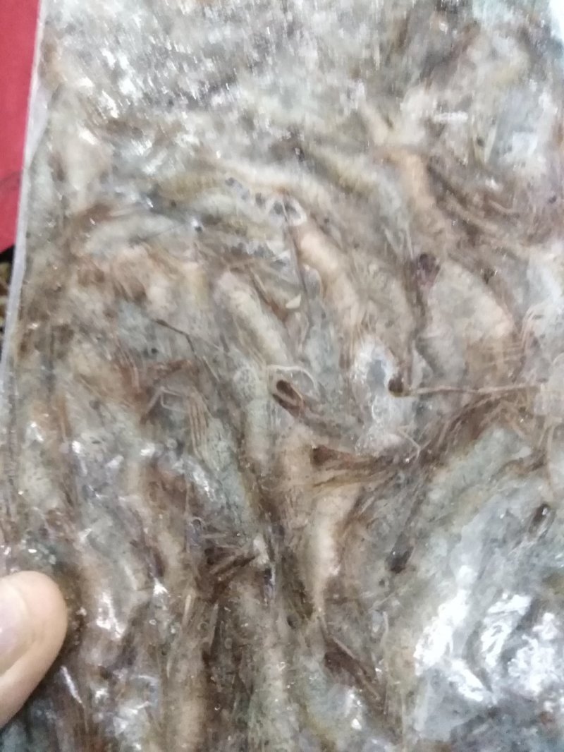 青虾3一5公分4一6公分350克净虾加水150克