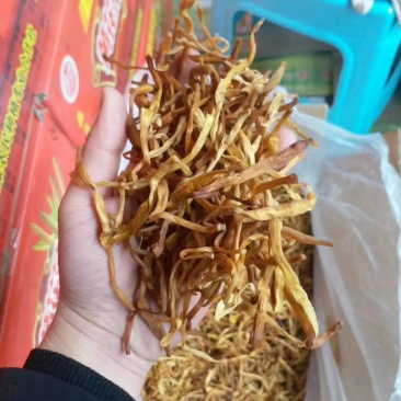 黄花菜干黄花菜，口感好，质量好。秋冬市场销售旺季
