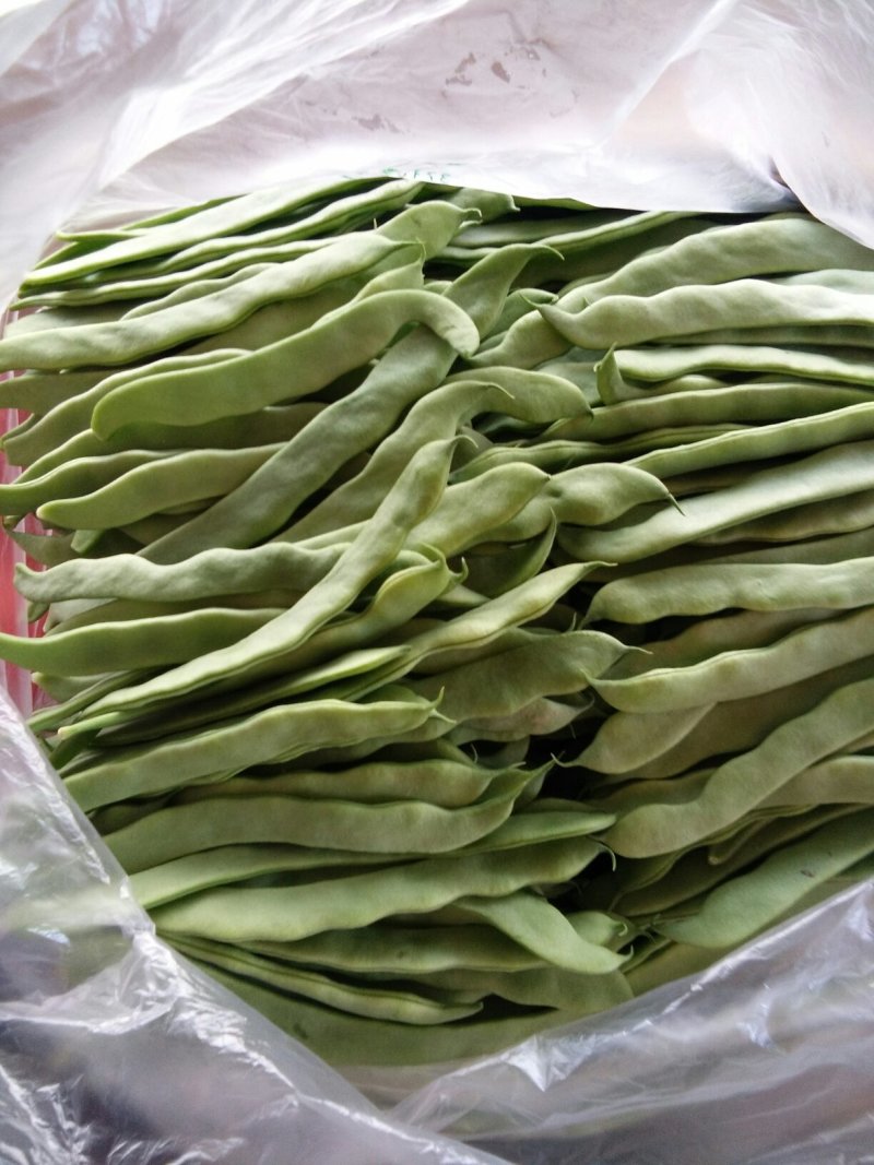 无丝豆