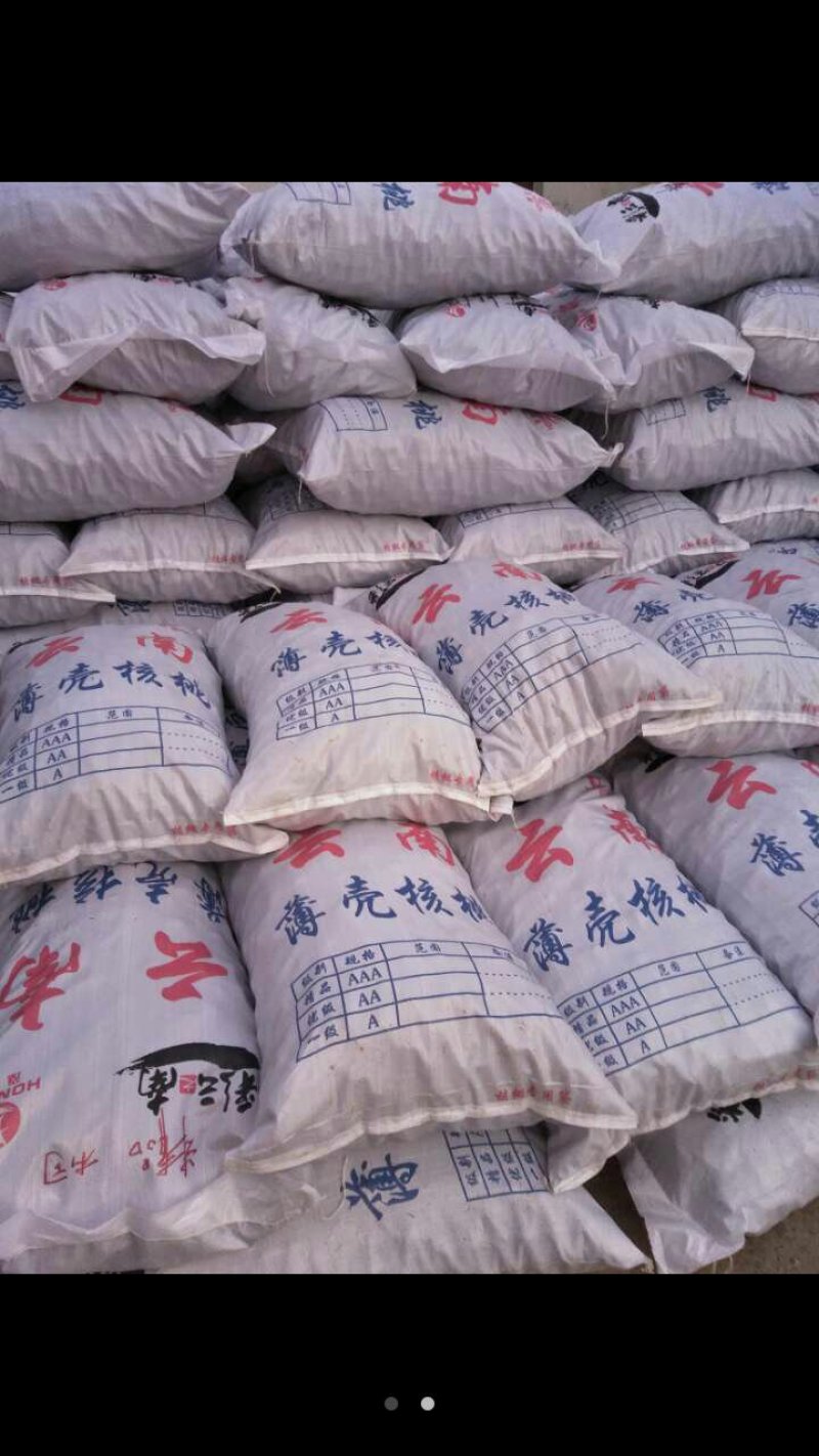 山核桃云南山核桃桐子果菠萝果质量顶呱呱。无老货。