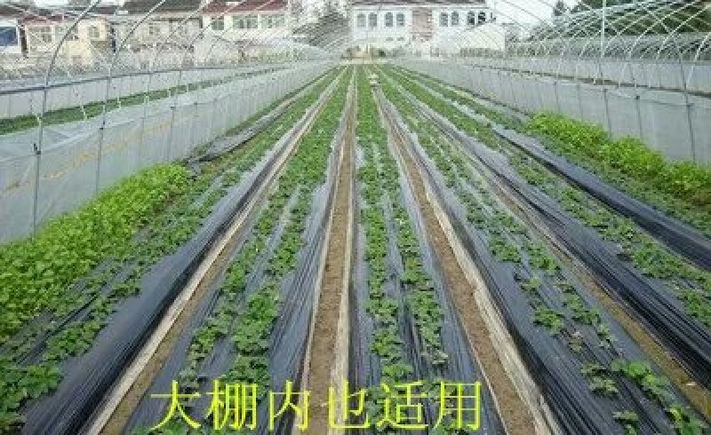 地膜黑膜除草防草专用耐用0.6到2米