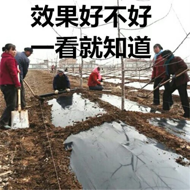 地膜黑膜除草防草专用耐用0.6到2米