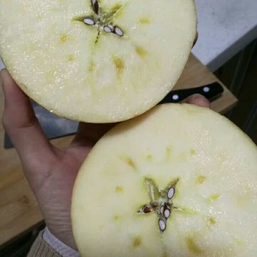 红富士苹果