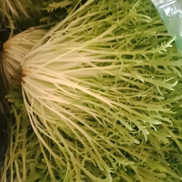 叶菜类